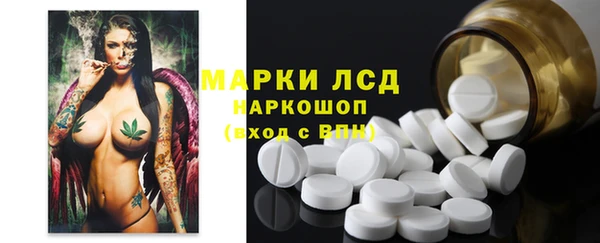 стафф Алзамай