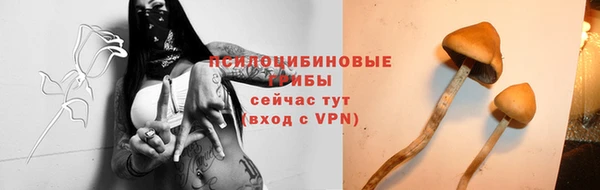 стафф Алзамай