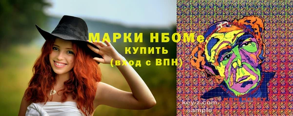 стафф Алзамай